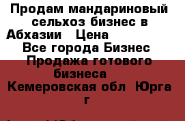 Продам мандариновый сельхоз-бизнес в Абхазии › Цена ­ 1 000 000 - Все города Бизнес » Продажа готового бизнеса   . Кемеровская обл.,Юрга г.